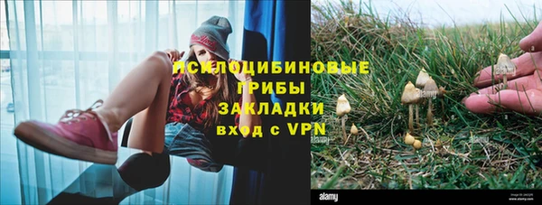 Альфа ПВП Алексеевка