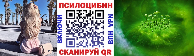 Псилоцибиновые грибы Cubensis Лукоянов