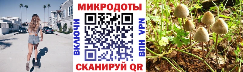 продажа наркотиков  Лукоянов  Псилоцибиновые грибы MAGIC MUSHROOMS 